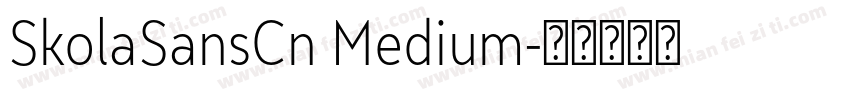 SkolaSansCn Medium字体转换